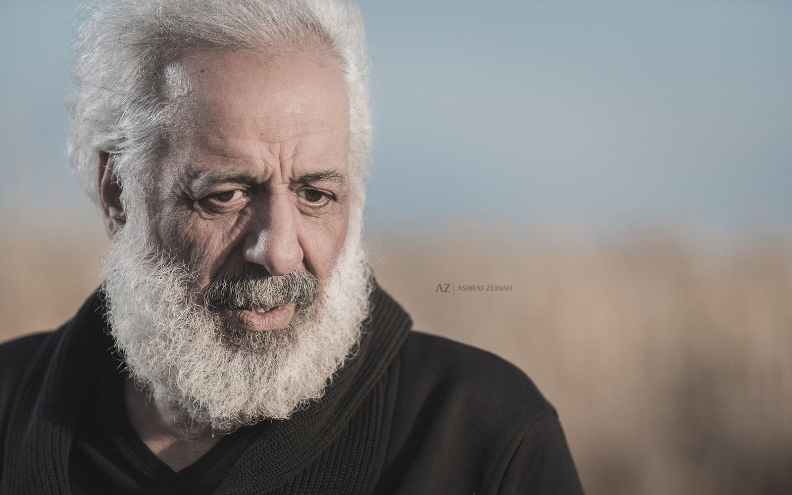 Ayman Zedan